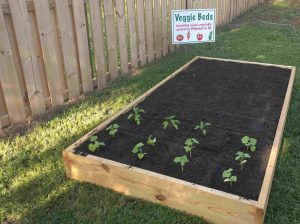 Veggie Beds raised bed installation testimonial