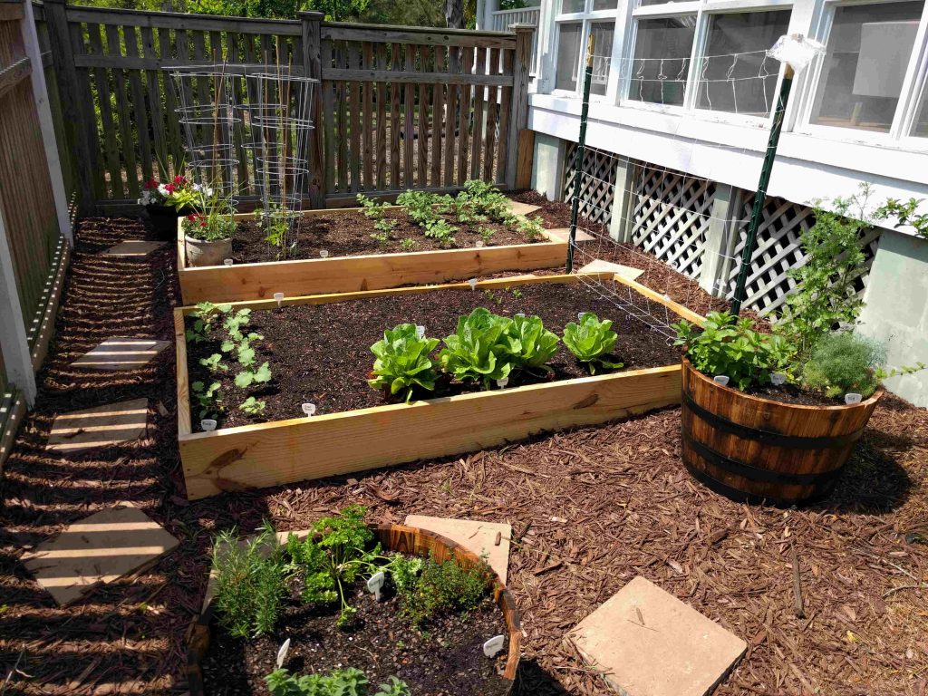 raised bed garden gallery