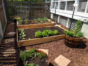 Raised Vegetable Garden